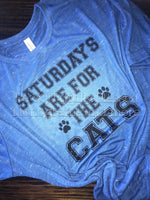 Saturdays Are For The CATS or Caturdays In Kentucky